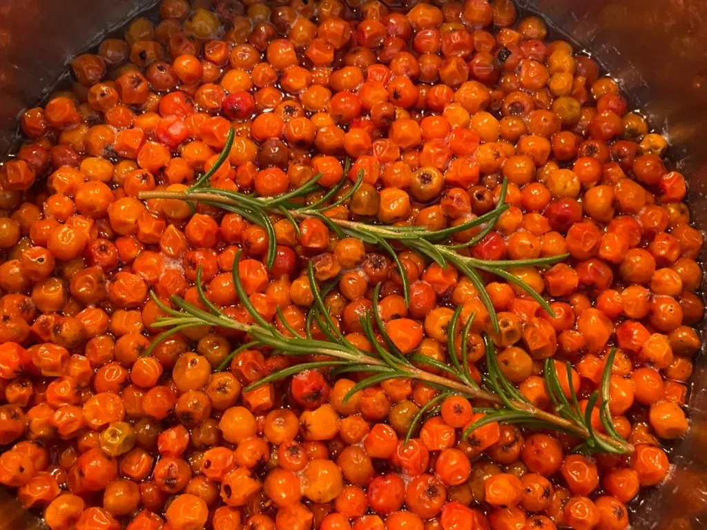 Mus von der Vogelbeere - einfaches Rezept auf www.kraeuterley.at