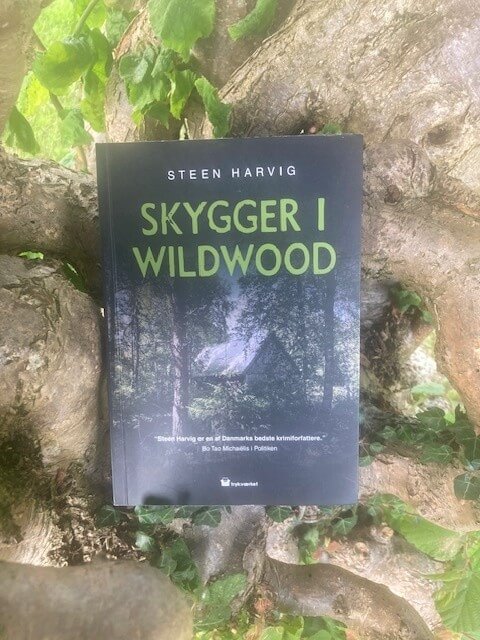 Boganmeldelse – Skygger i Wildwood