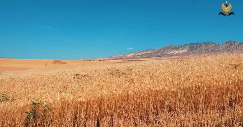 لە-پارێزگای-هەڵەبجە-سایلۆیەك-بۆ-گەنمی-جوتیاران-دروست-دەکرێت
