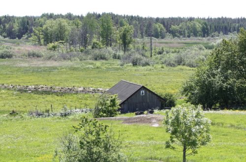 Ängsladan Målsjön