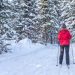 Skidåkning