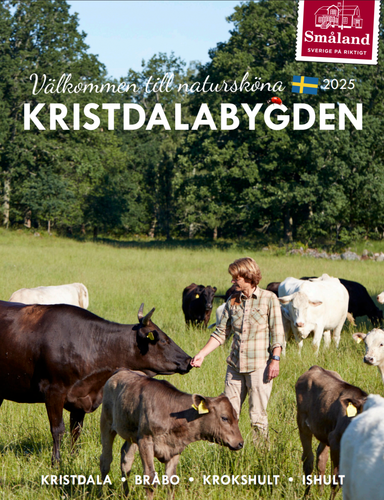 Kristdalabroschyren 2025