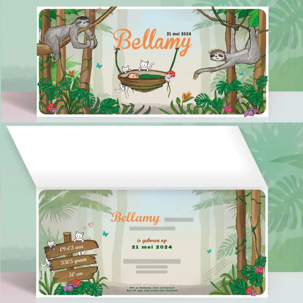 Bellamy website