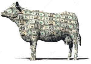 Cashcow