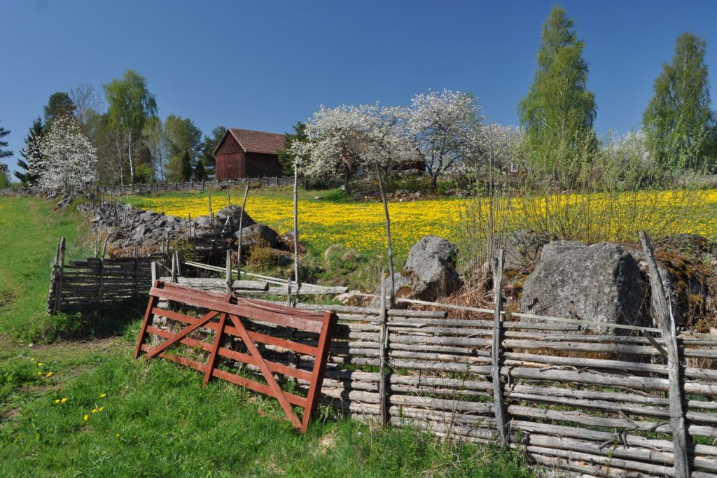 Röda grinden