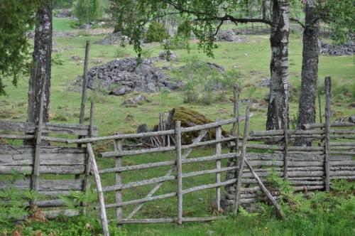 Här skiljs naturreservatet och vandringsleden.