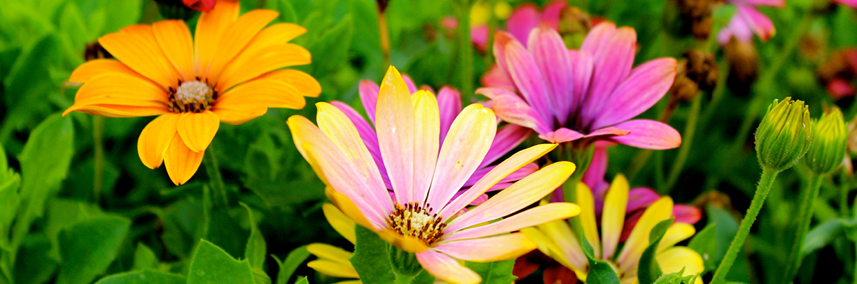 header_sommar_2023