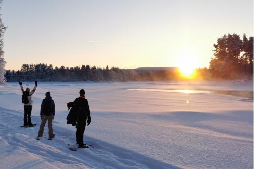 Active in lapland