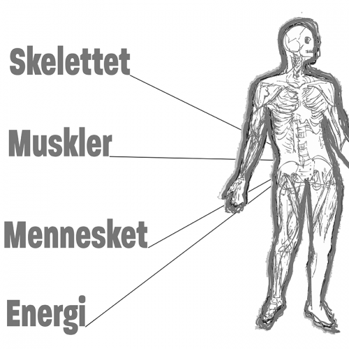 Mennesket i 4 lag