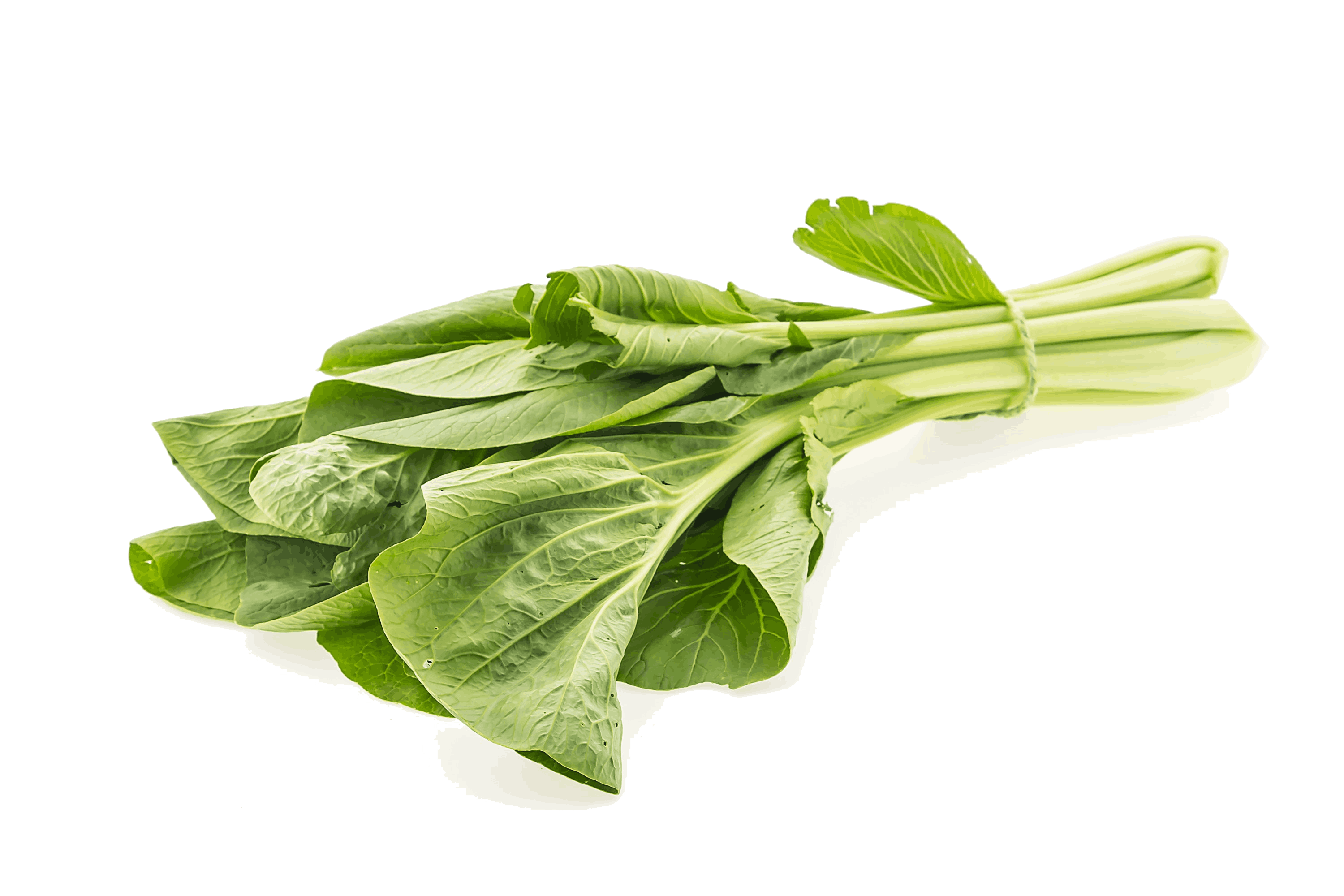meal-vegetable-food-agriculture-vitamin-less