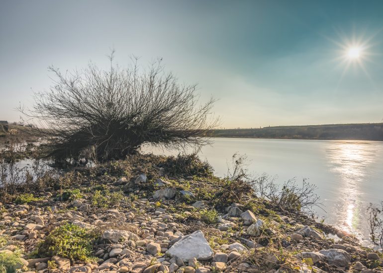 Landschap- en Natuurfotografie - Naturschutzgebiet de Rug