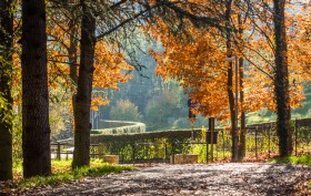 Via Castagneta Bergamo - Herfstkleuren