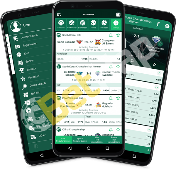 Comment vérifier coupon Betwinner efficacement Comment vérifier coupon Betwinner efficacement
