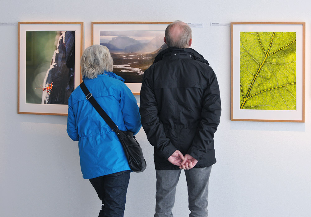 Kullafotografen fotograf Höganäs deltar i utställning med PhotoNatura - Norden i stort och smått