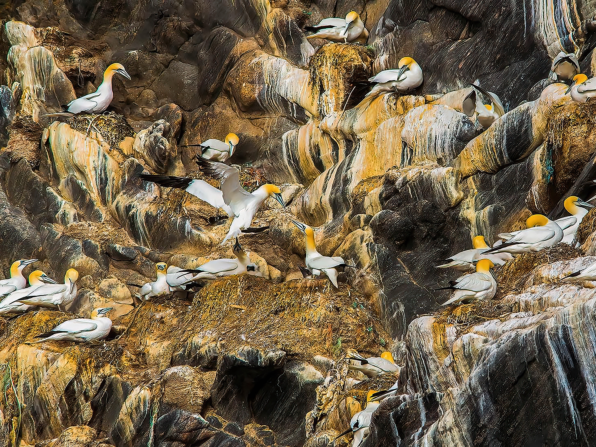 Fotoutställning: Djur och natur