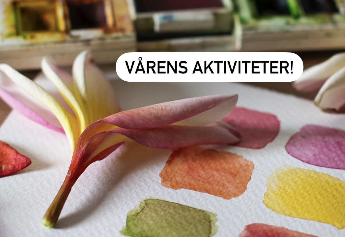 Vårens aktiviteter 2024