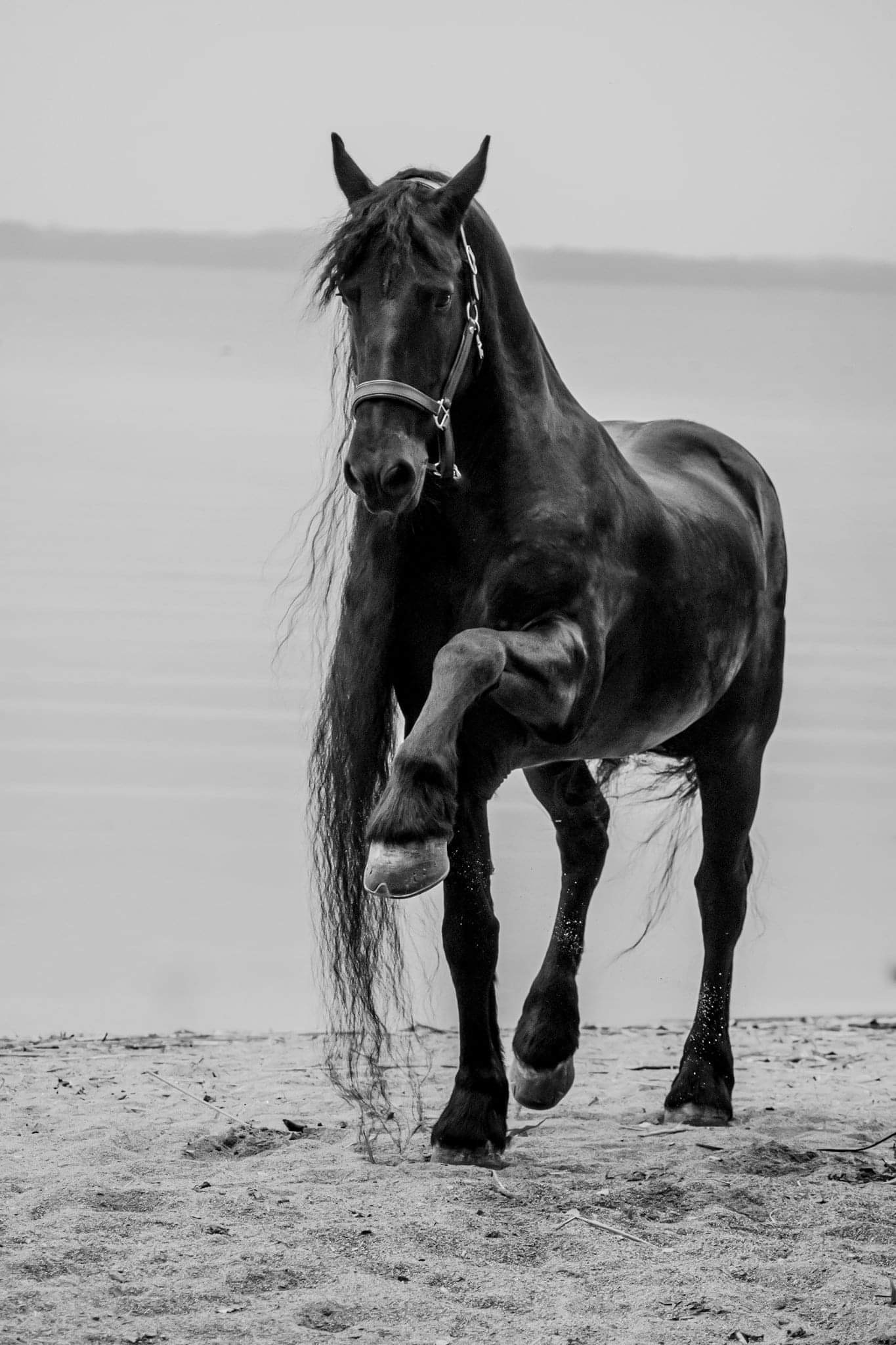 Freja Lundells foton i Galleri Lilla Huset