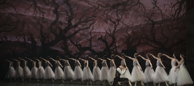 Giselle – Ballethistoriens nr.1. Den Kongelige Ballet.