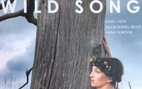 CD: The Wild Song med Marci Meth.