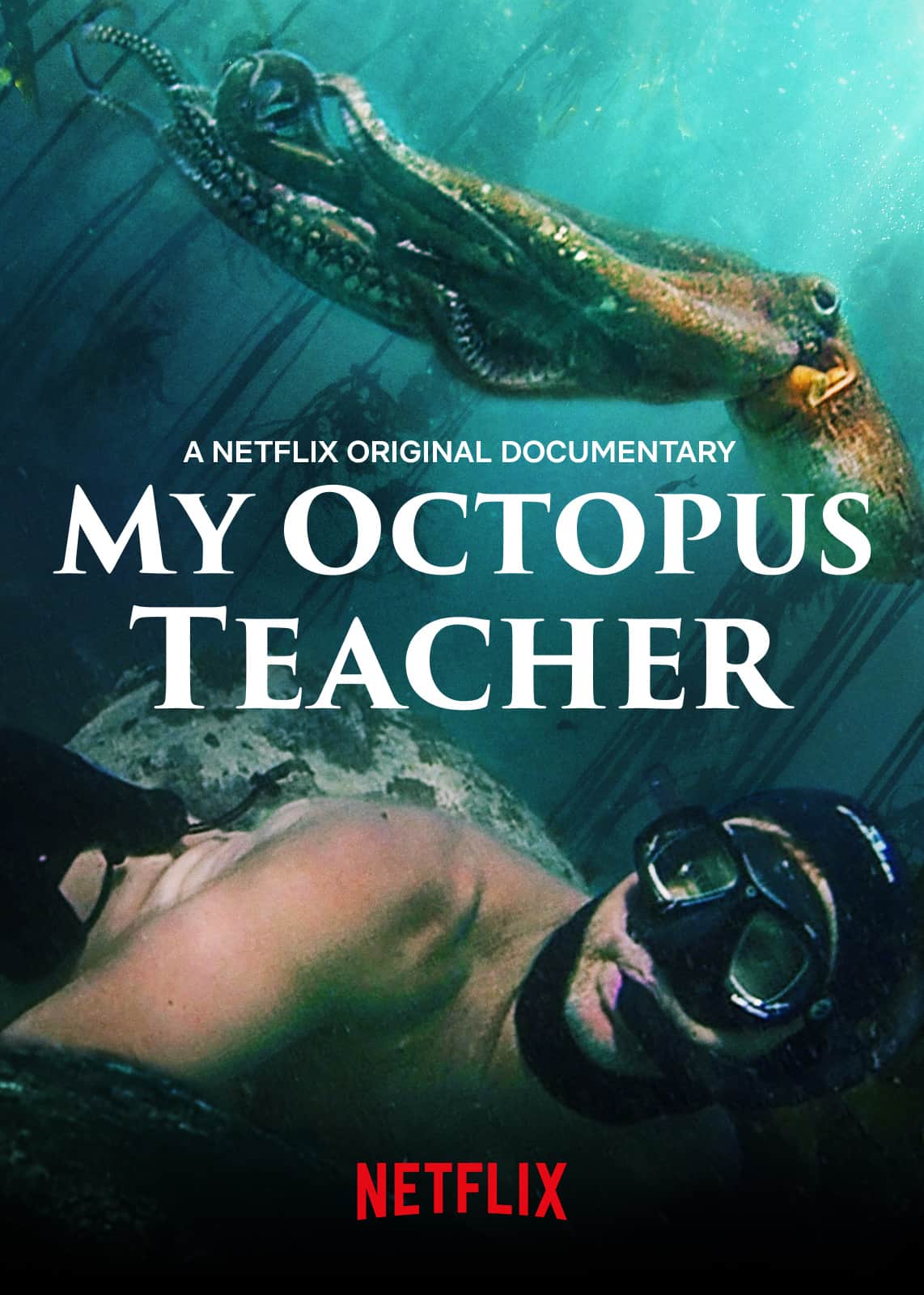 My Octipus Teacher