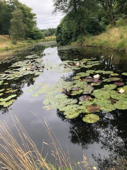 Baldersbæks Stemmer – vandringsteater i en plantagehave.