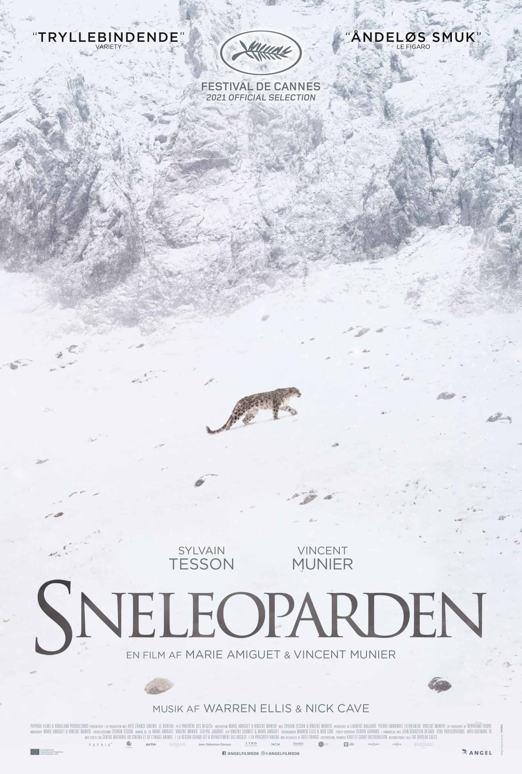 Sneleoparden