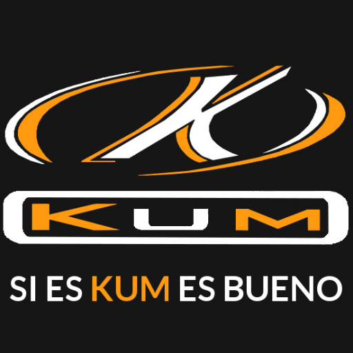 CANDADO CON ALARMA NEGRO KUM Ref. 255502 - PRECIO UNITARIO Y OFERTA POR  CANTIDAD - KUMMOTO