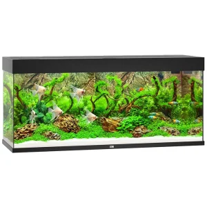 JUWEL AKVARIUM LED RIO 240 SVART 121x41x55CM 240L