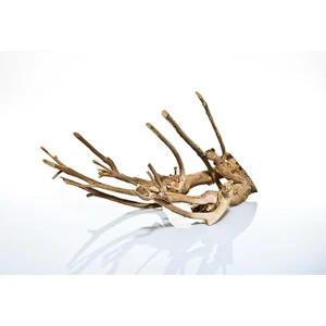 TALAWA WOOD 80 - 100CM