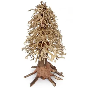 Bonsai Wood 20x30x20cm