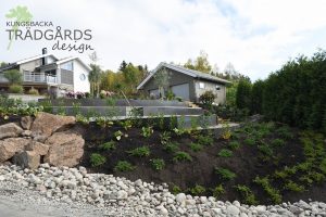 Trädgårdsdesign i Kungsbacka