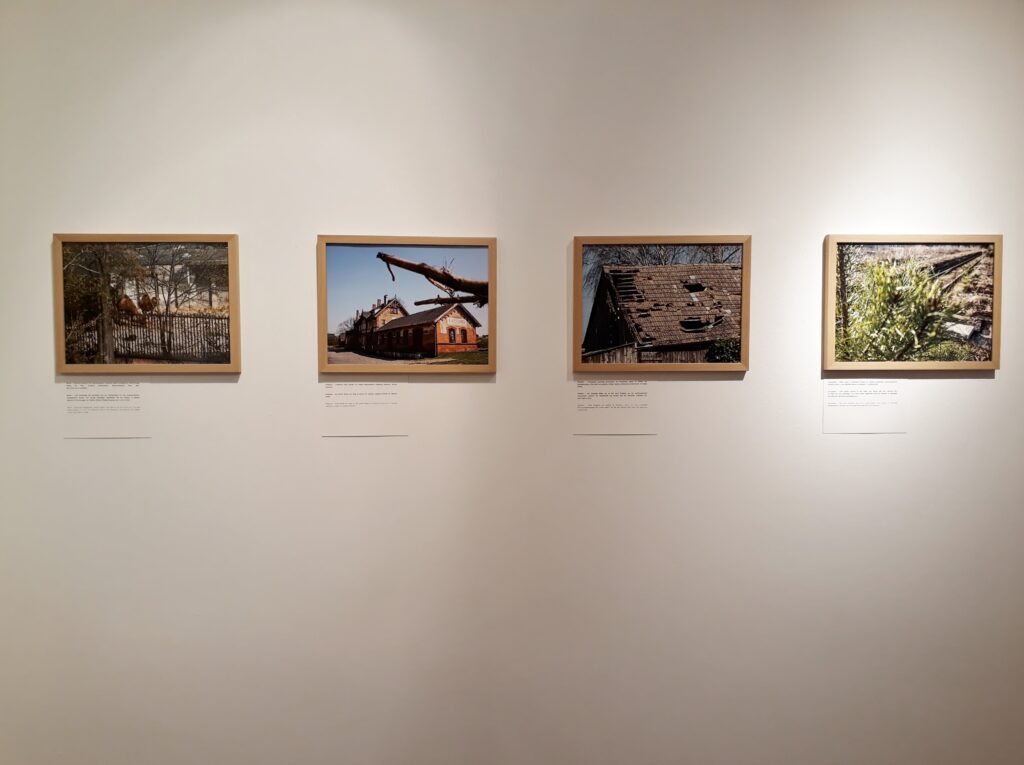 Tadeusz Rolke, Blick in die Ausstellung „Hin und zurück“, Polnisches Institut Belrin, 2019. Foto © Urszula Usakowska-Wolff