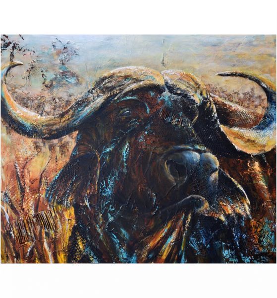 African Buffalo