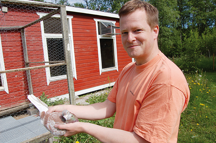 Brevduvan återvänder alltid