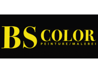 BS Color