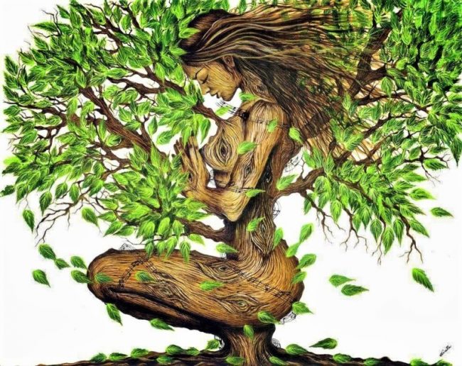 treeoflife2