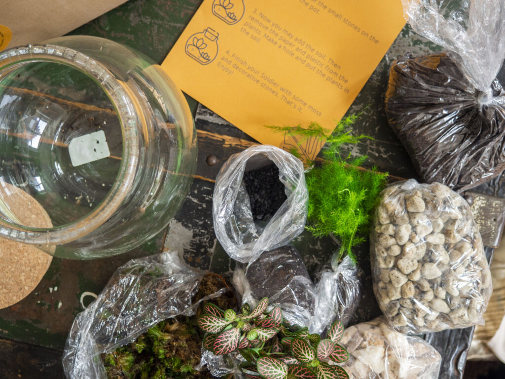PLANT REBELZ SOLDIER KIT TERRARIUM PLANTEN
