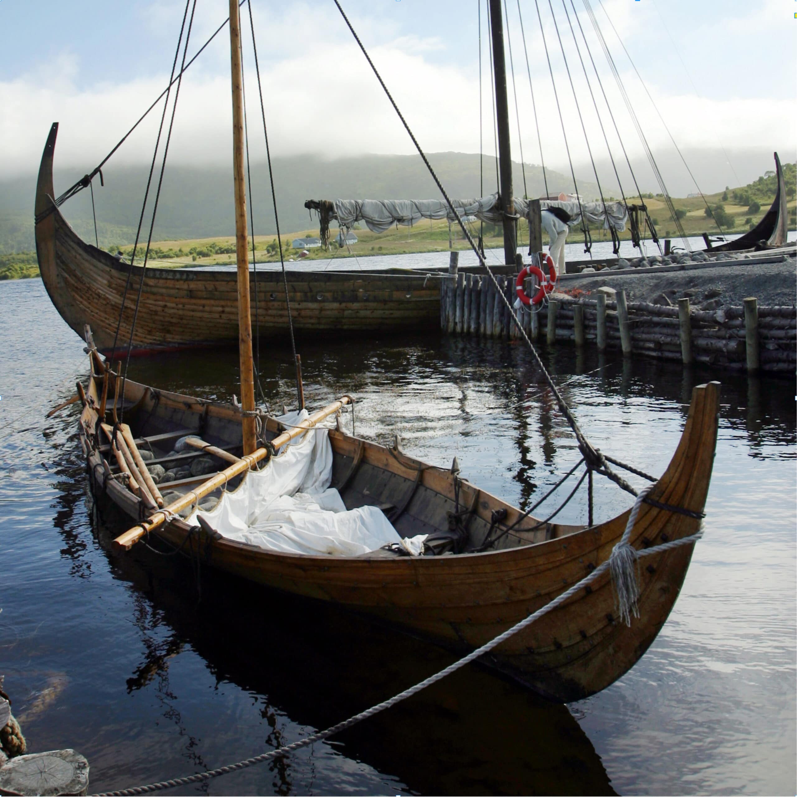 Kvan - Vikingernes urt fra Grønland - Se opskrifter med kvan