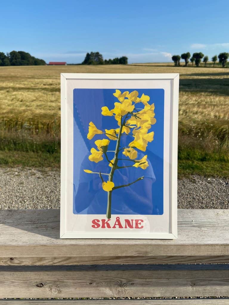 Poster Skåne