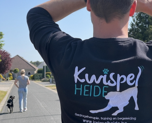 Hondentraining en professionele hondenopleidingen Limburg