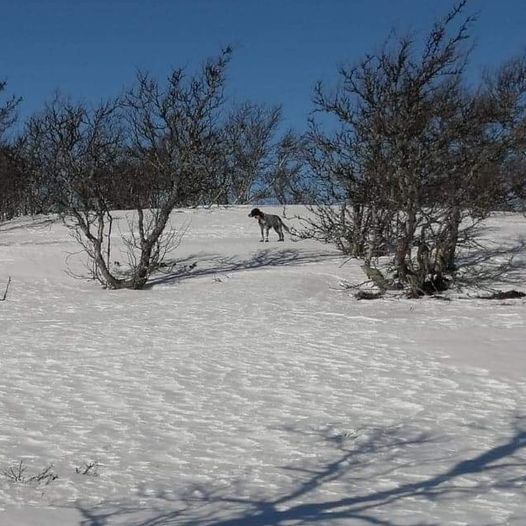 Påskestemning i fjellet