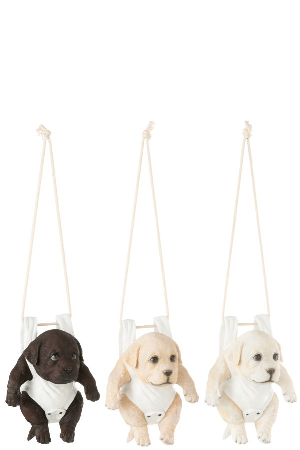 Chien Couche B Polyresine Mix