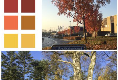 Color inspiration Autumn color palette