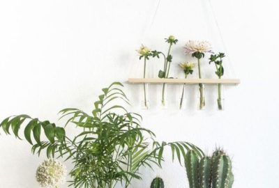 5 plants to decorate your kitchen that you should not miss 02