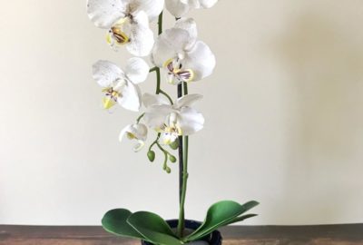 8 decorative vases that are ideal for your orchids 02