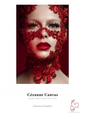 Cezanne_Canvas