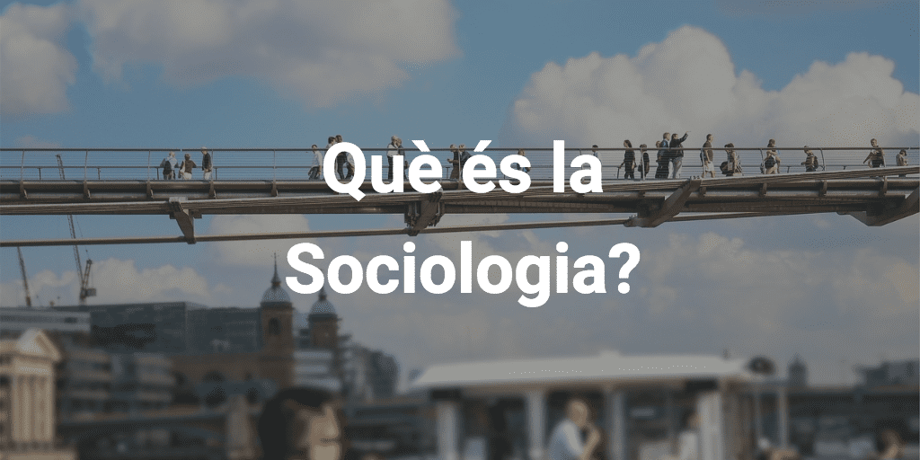 què és la sociologia