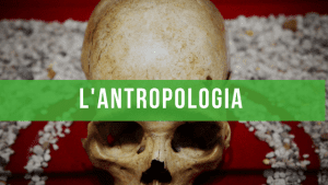 Antropologia