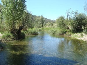 El riu Millars al seu pas pel terme d'Aranyel a la comarca de la Plana Alta