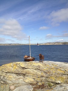 rocky island in skagerrak sea with boat and dog